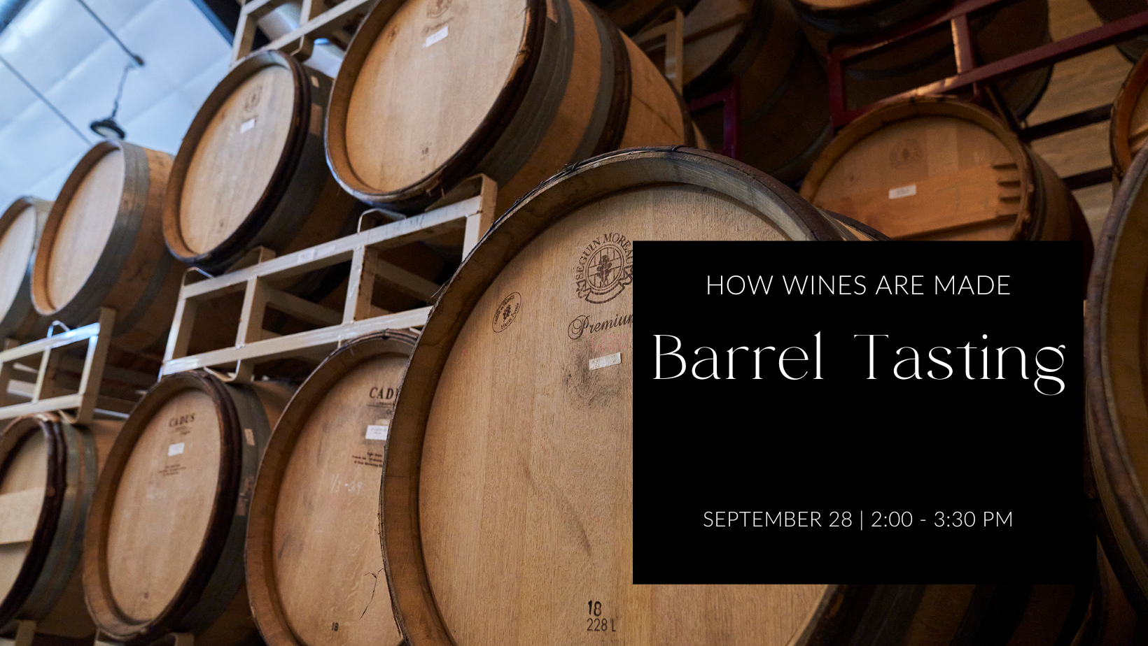 How Wines Are Made : Barrel Tasting