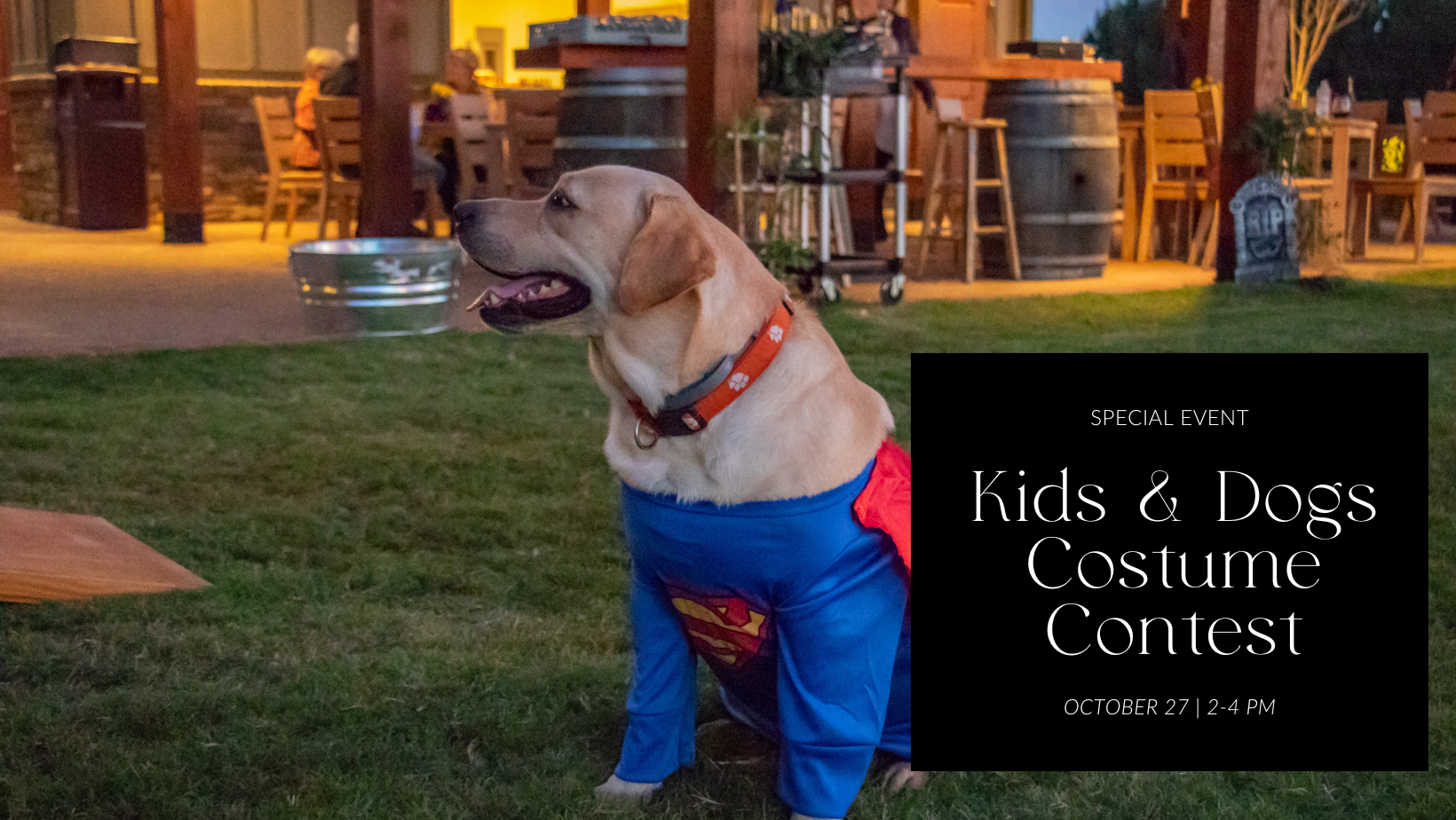 Kids & Dogs Halloween Costume Contest