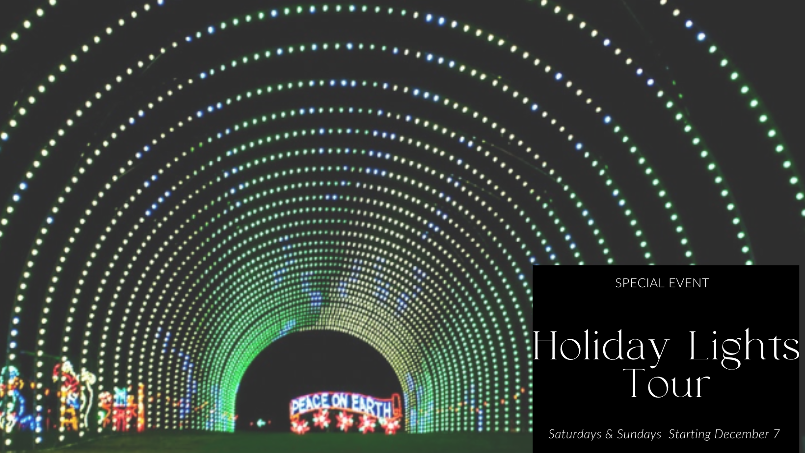 Holiday Lights Tour