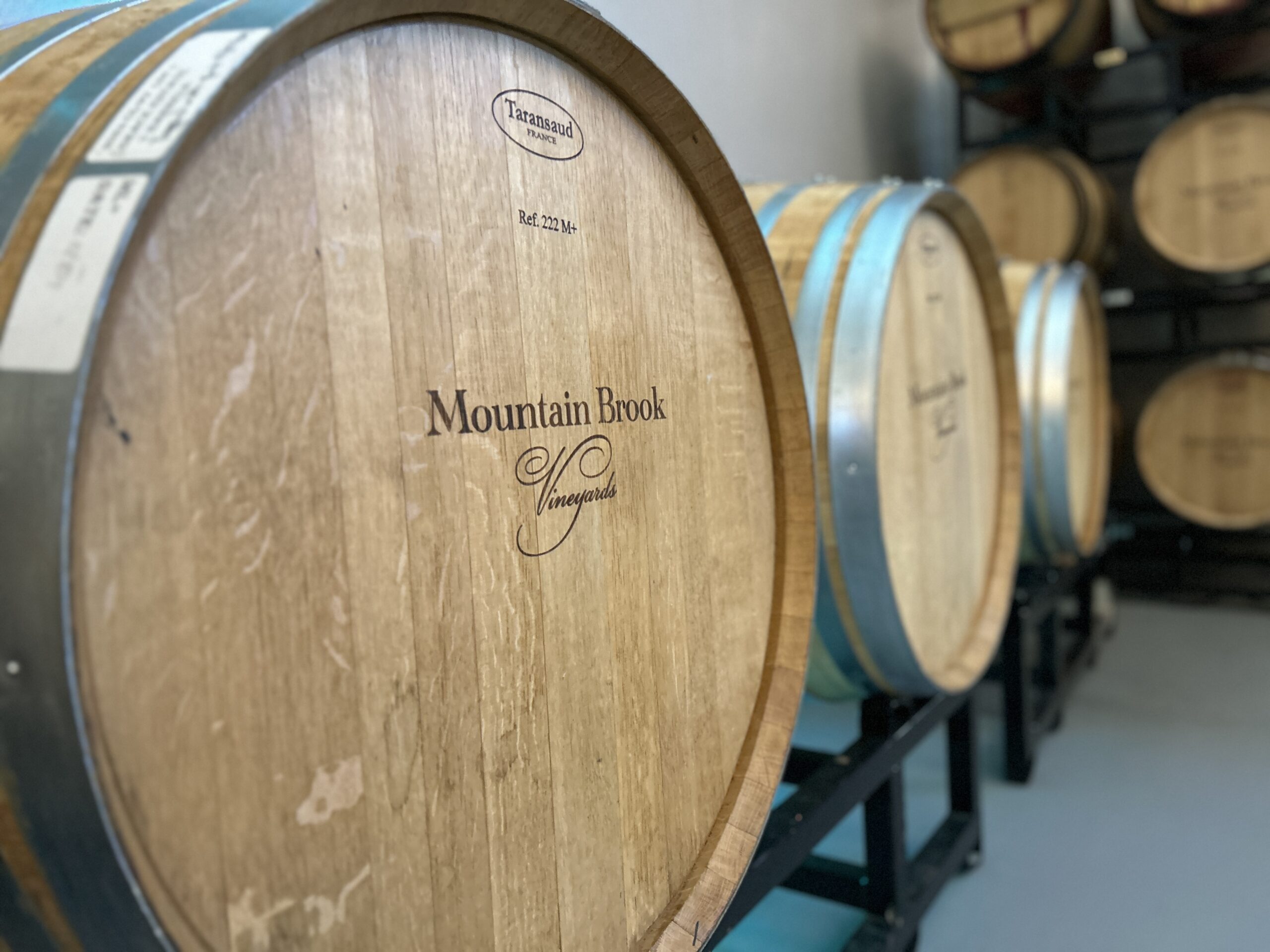 How Wines Are Made: Barrel Tasting